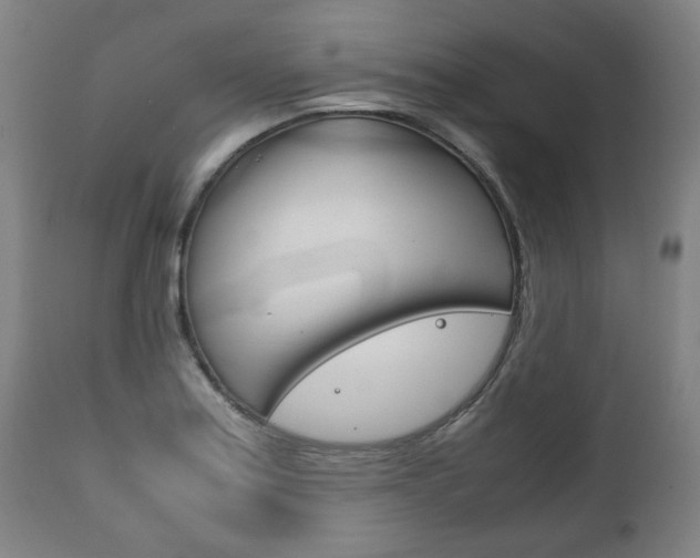 X0000111781179200907230942