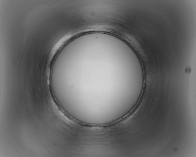 X0000111781180200907230942