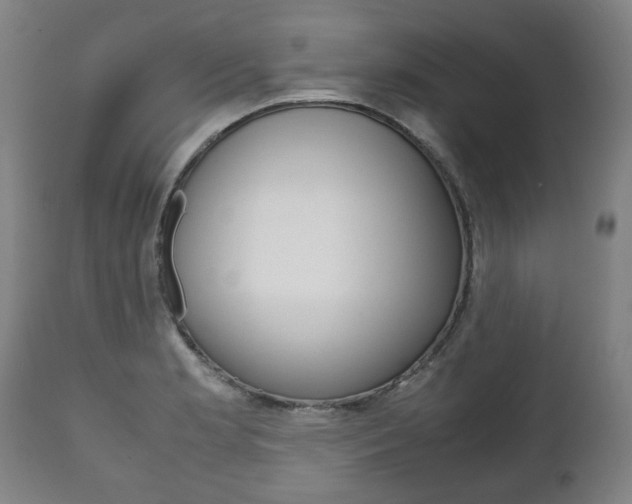 X0000111781181200907230942