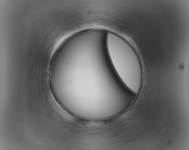 X0000111781183200907230942