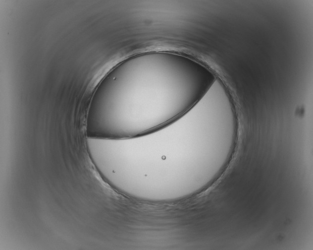 X0000111781185200907230942