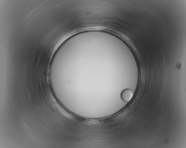 X0000111781186200907230942