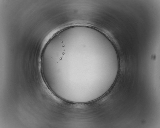 X0000111781188200907230942