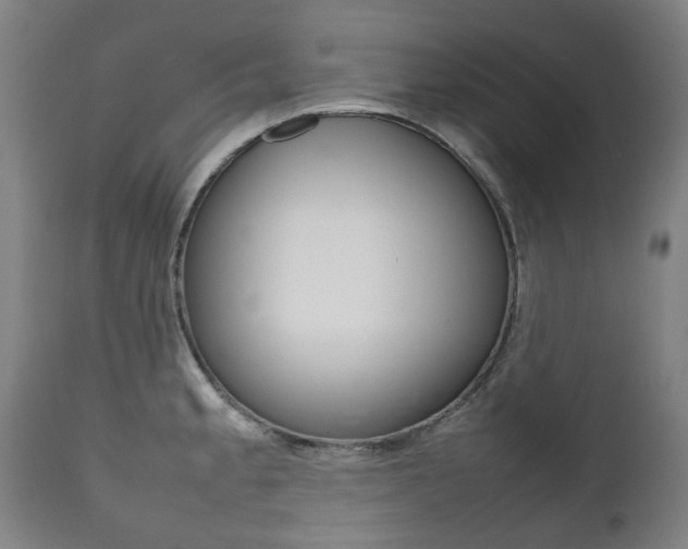 X0000111781189200907230942