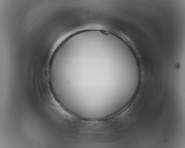 X0000111781192200907230942