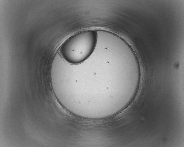 X0000111781193200907230942