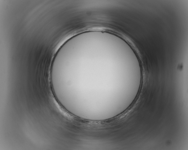 X0000111781194200907230942