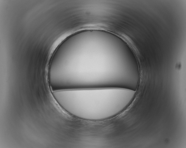 X0000111781196200907230942