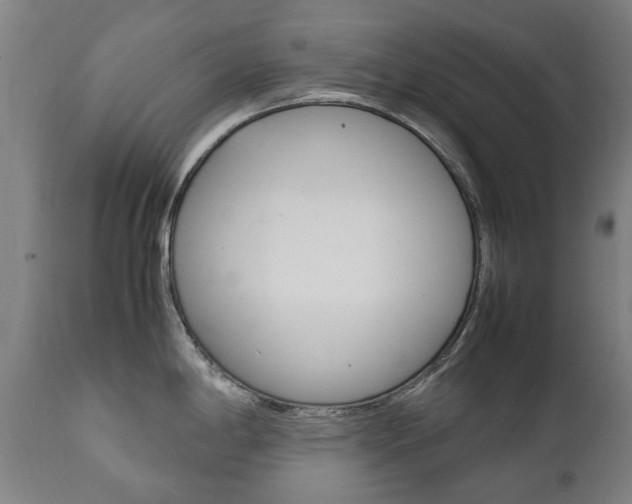 X0000111781198200907230942