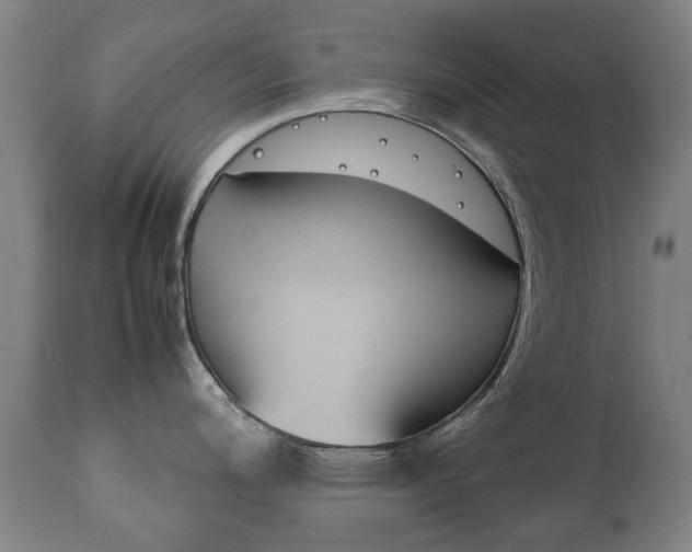 X0000111781200200907230942