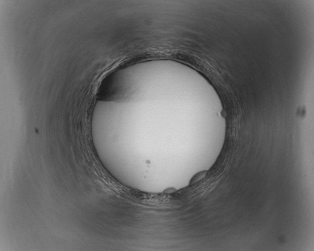 X0000111781201200907230941