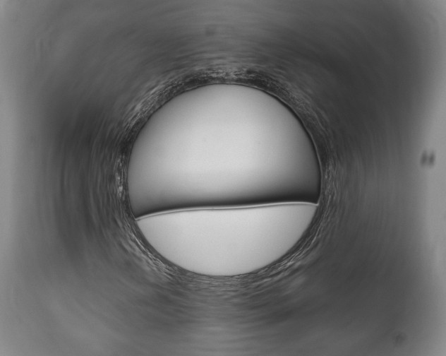 X0000111781202200907230941