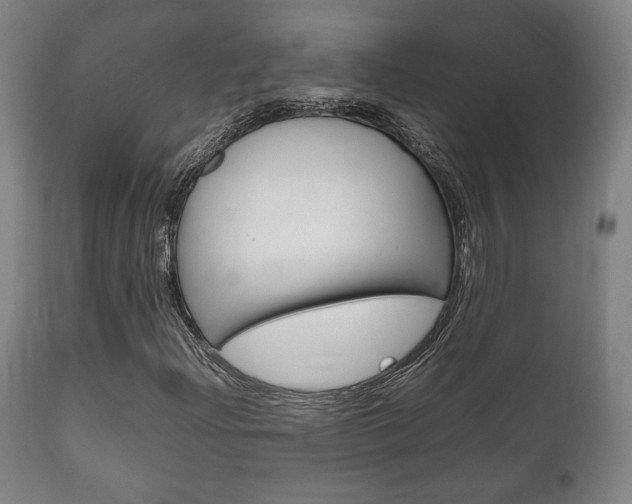 X0000111781204200907230941