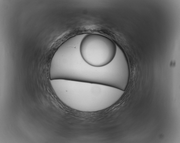 X0000111781205200907230941