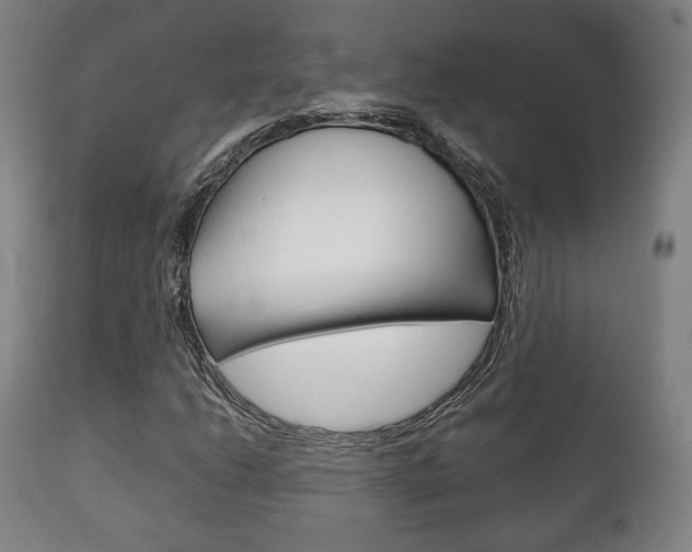 X0000111781206200907230941