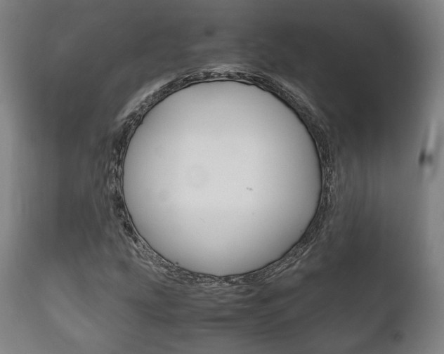 X0000111781207200907230941