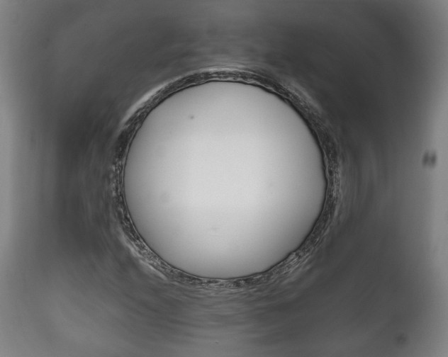 X0000111781208200907230941