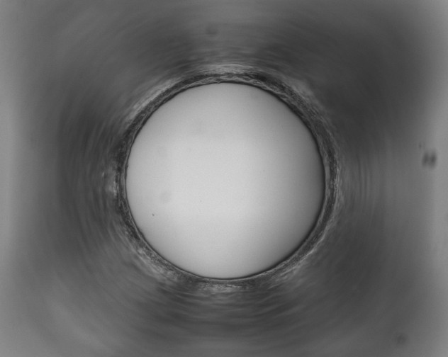 X0000111781209200907230941