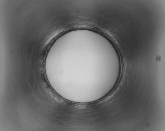X0000111781211200907230941
