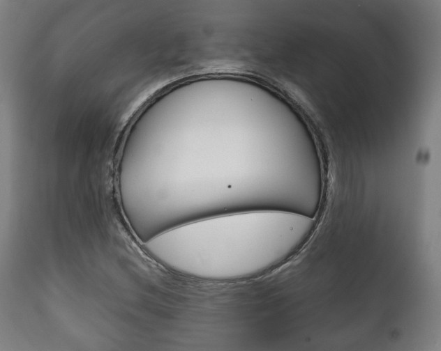 X0000111781212200907230941