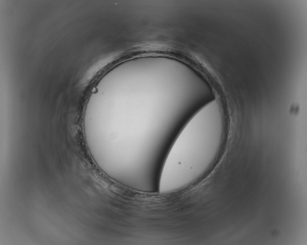 X0000111781213200907230941