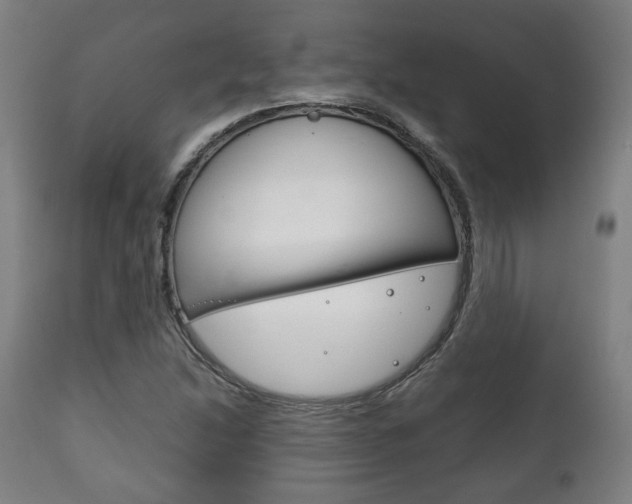 X0000111781214200907230941