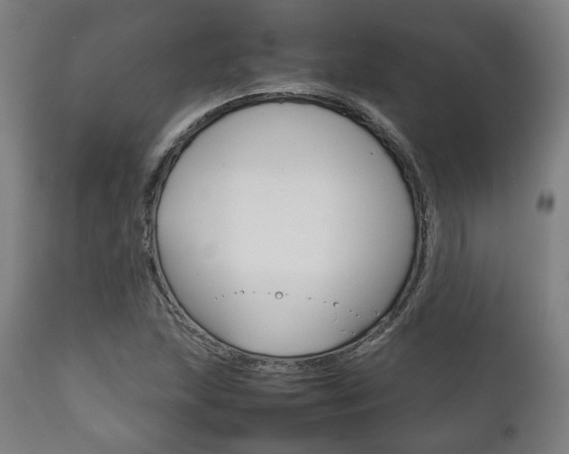 X0000111781215200907230941