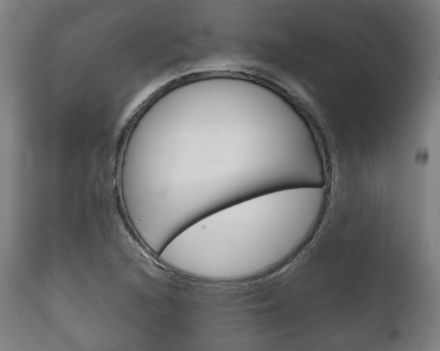 X0000111781216200907230941