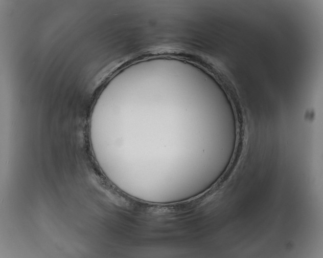 X0000111781217200907230941