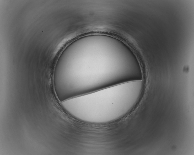 X0000111781218200907230941