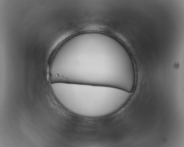 X0000111781219200907230941