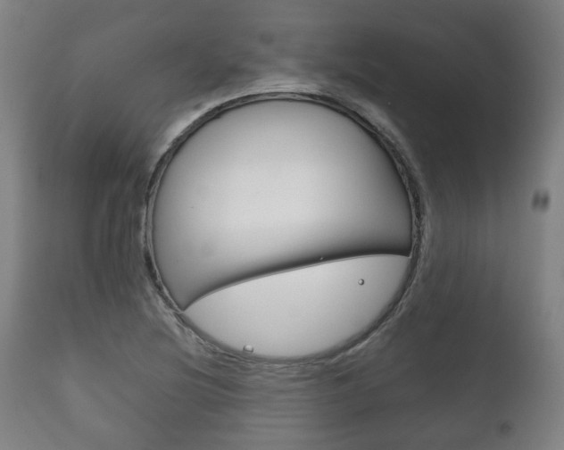 X0000111781220200907230941