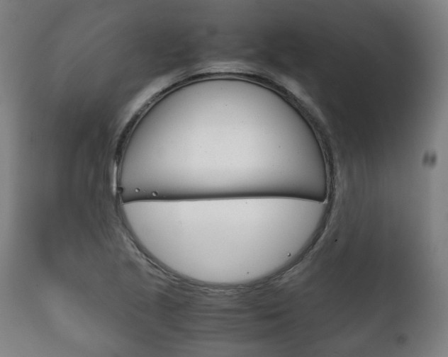 X0000111781221200907230941
