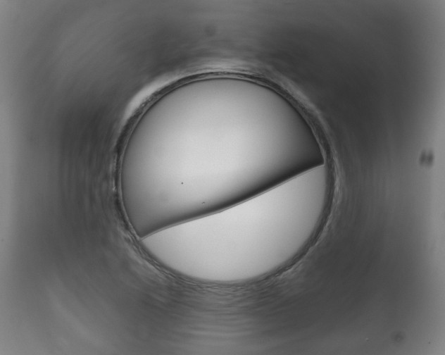 X0000111781222200907230941