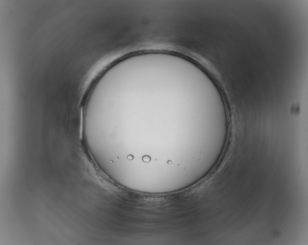 X0000111781223200907230941
