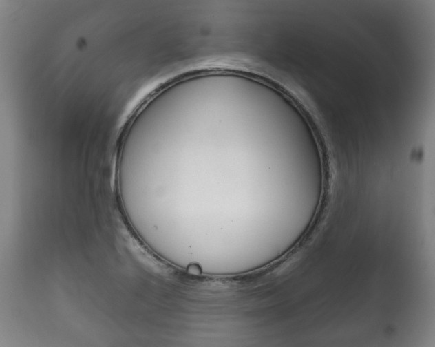 X0000111781224200907230941