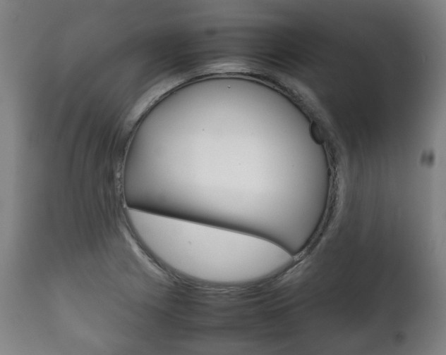 X0000111781225200907230941