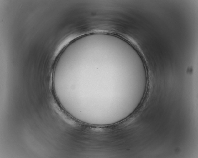 X0000111781227200907230941