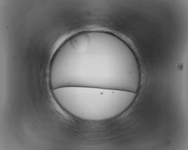 X0000111781231200907230941