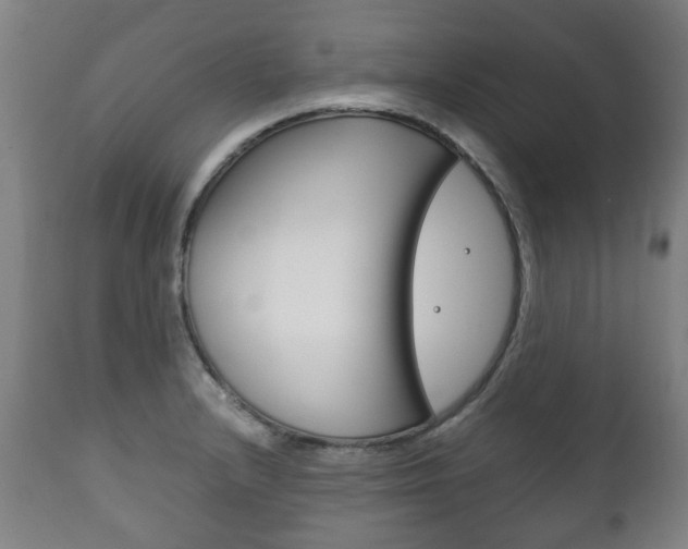 X0000111781232200907230941