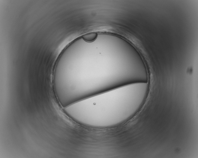 X0000111781234200907230941
