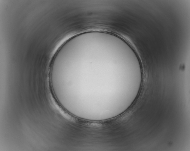 X0000111781235200907230941