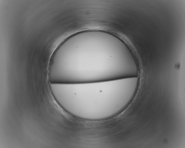X0000111781236200907230941