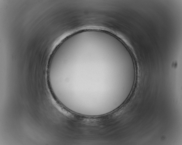 X0000111781237200907230941