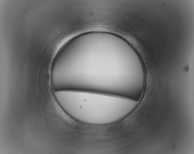 X0000111781238200907230941