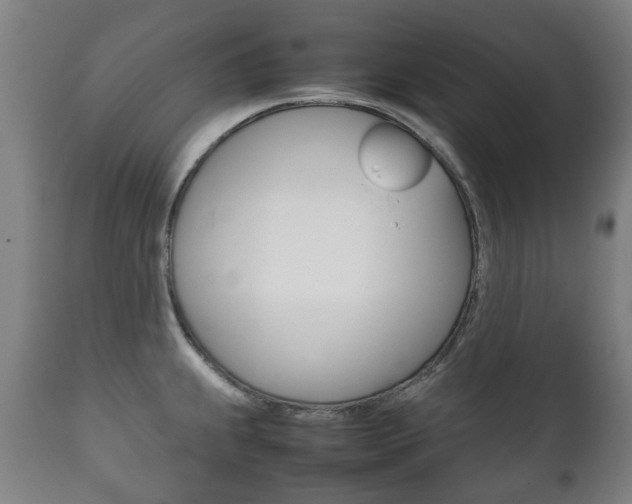 X0000111781239200907230941