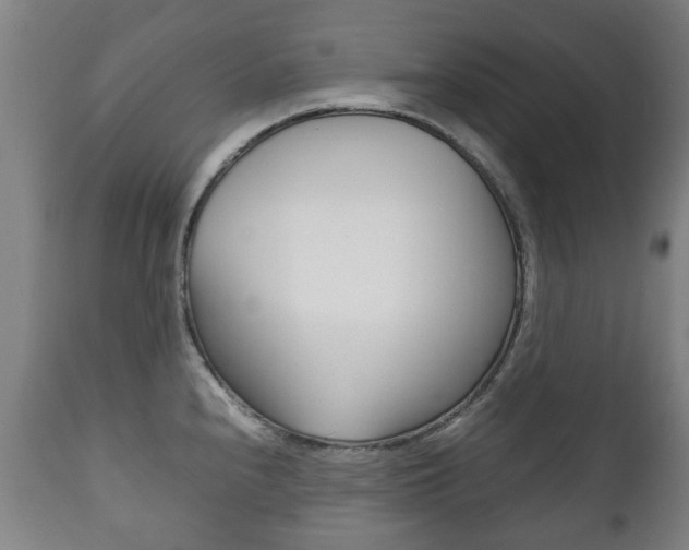 X0000111781240200907230941