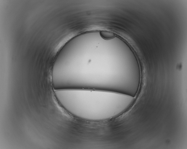 X0000111781241200907230941
