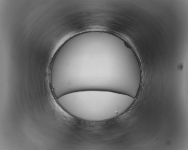 X0000111781243200907230941
