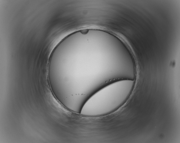 X0000111781244200907230941